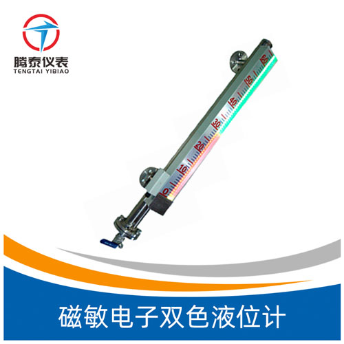 磁敏電子雙色液位計(jì)